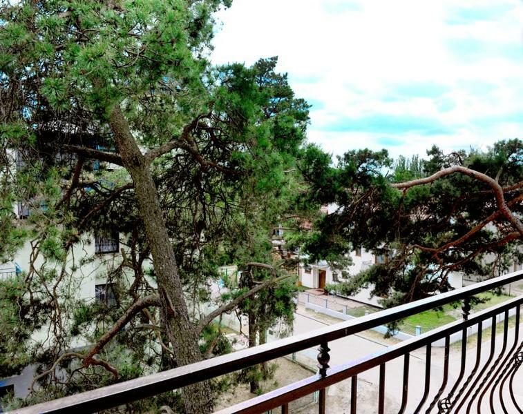 Villa Carmen Мендзиводзе Екстер'єр фото